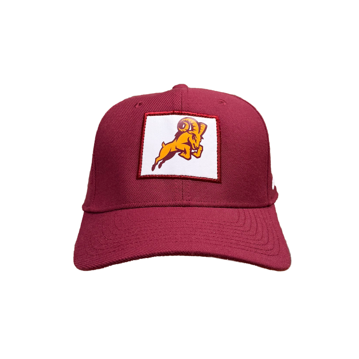 Nike Swoosh Flex Hat