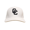 Nike Swoosh Flex Hat