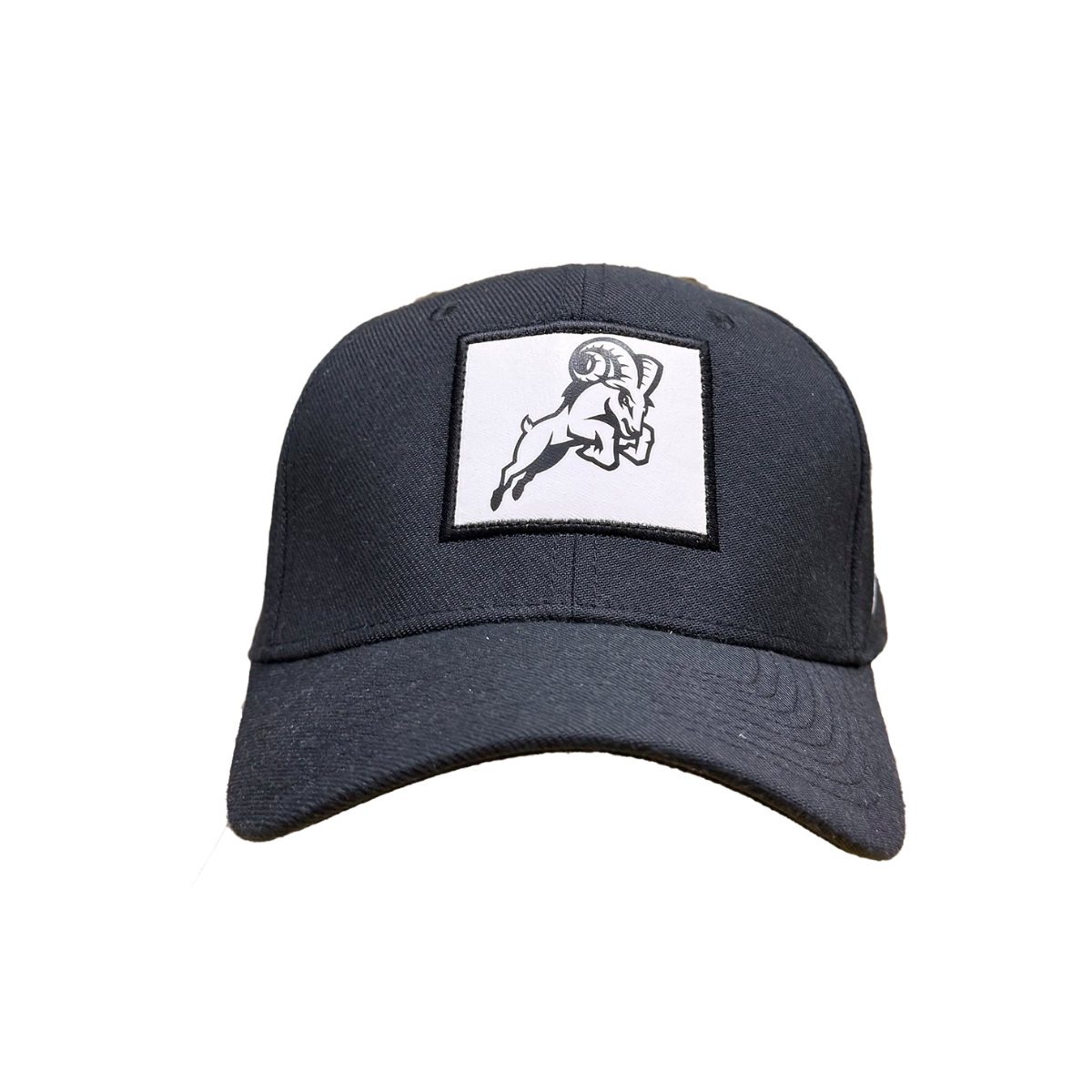 Nike Swoosh Flex Hat