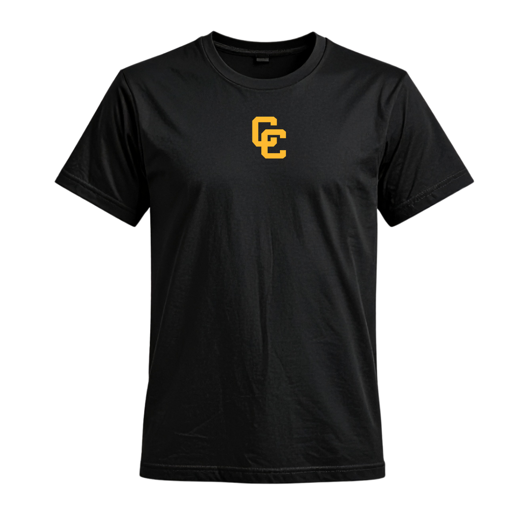 Spring Tee