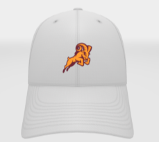 Nike Adjustable Heritage Hat