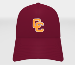 Nike Adjustable Heritage Hat
