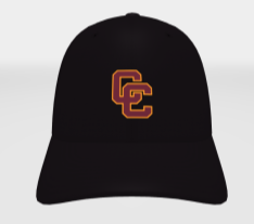 Nike Swoosh Flex Hat