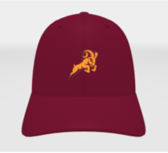 Nike Swoosh Flex Hat
