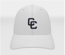 Nike Swoosh Flex Hat
