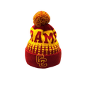 Holiday Beanie